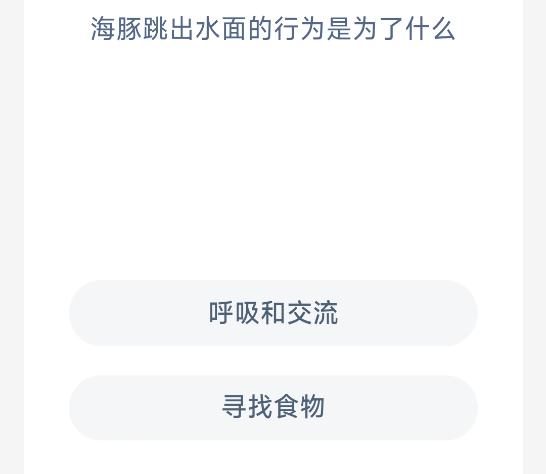 海豚跳出水面的行为是为了什么