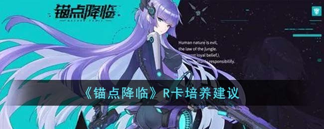 《锚点降临》R卡培养建议