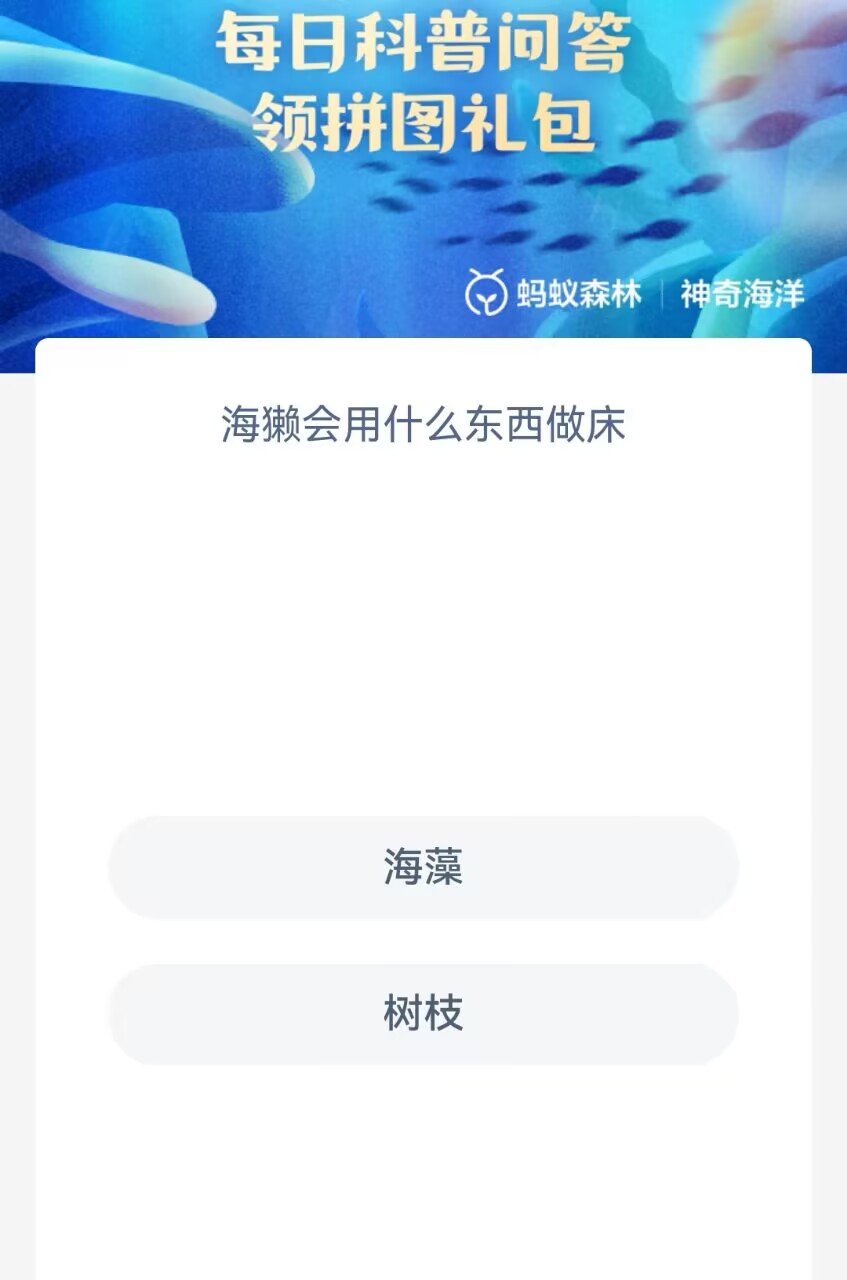 海獭会用什么东西做床