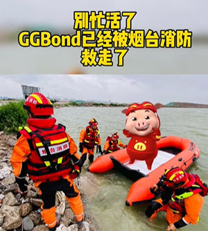 解救GG bond梗含义介绍