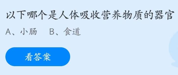 《支付宝》2023蚂蚁庄园5月31日答案最新