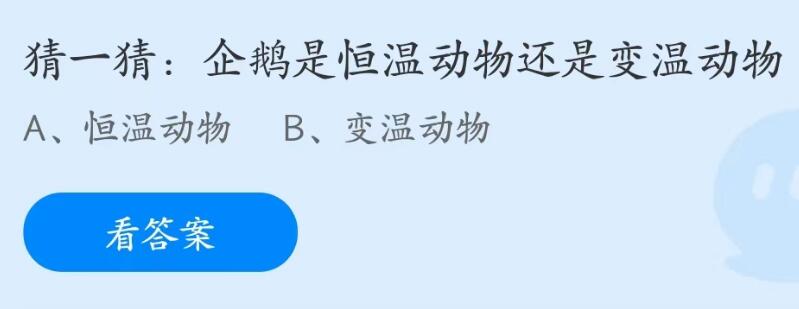 企鹅是恒温动物还是变温动物