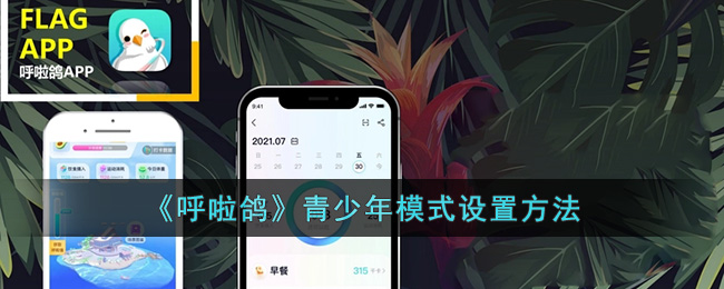 《呼啦鸽》青少年模式设置方法