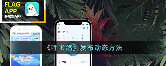 《呼啦鸽》发布动态方法