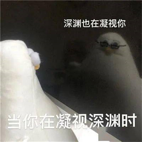 马兆海鸥是什么梗