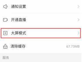 《快手极速版》大屏模式设置方法