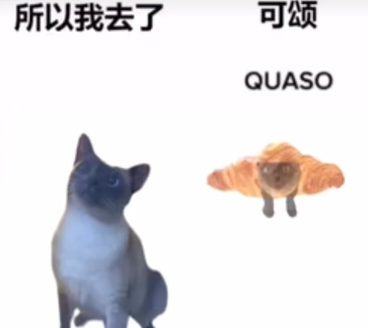 《抖音》可颂猫表情包大全分享