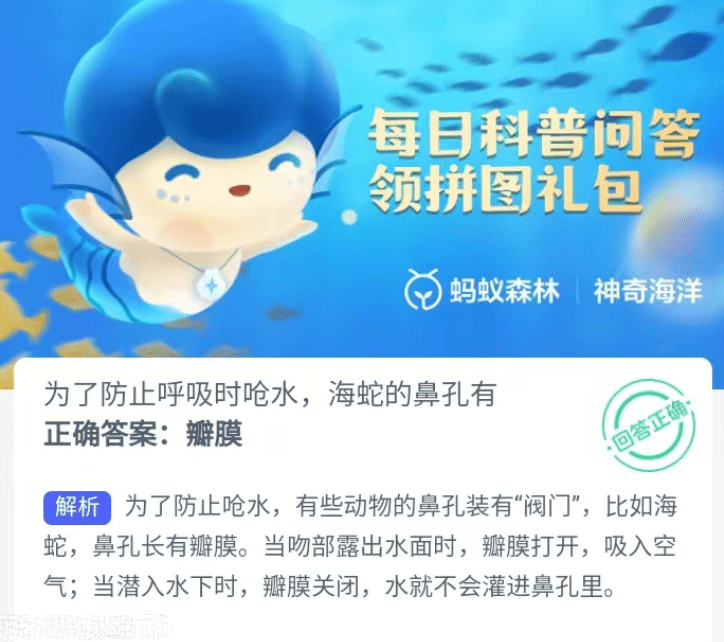 为了防止呼吸时呛水海蛇的鼻孔有