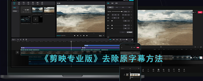 《剪映专业版》去除原字幕方法