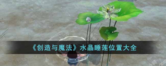 《创造与魔法》水晶睡莲位置大全