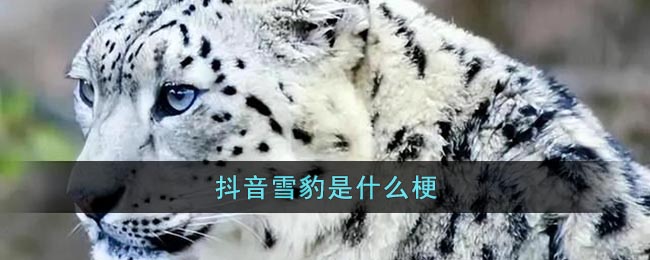 抖音雪豹是什么梗