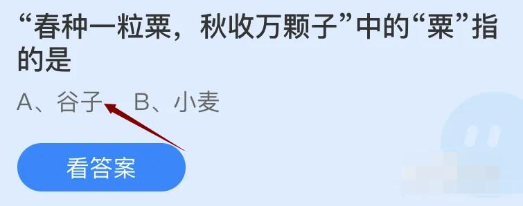 春种—粒粟秋收万颗子中的粟指的是