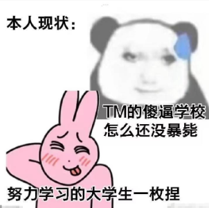 小姐姐一枚是什么梗