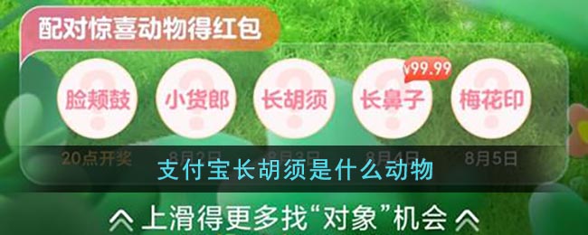 《支付宝》长胡须是什么动物