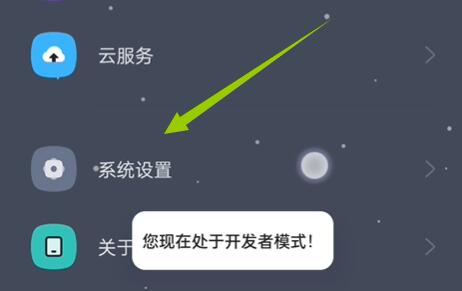 coloros12开发者模式进入方法