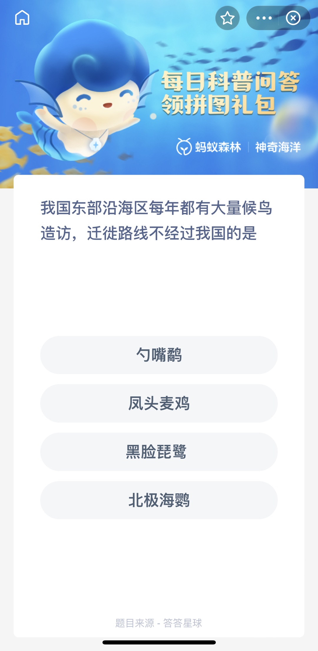 我国东部沿海区每年都有大量候鸟造访，迁图路线不经过我国的是