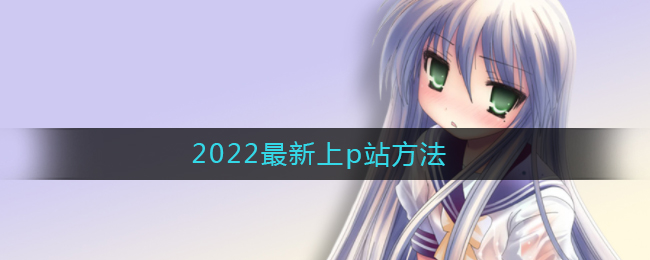 2022最新上p站方法