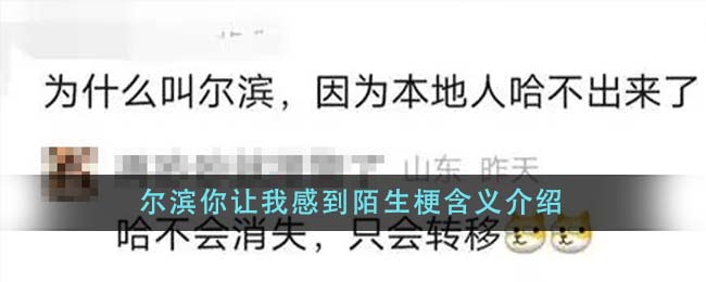 尔滨你让我感到陌生梗含义介绍