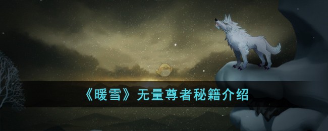 《暖雪》无量尊者秘籍介绍