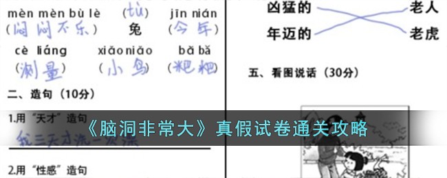 《脑洞非常大》真假试卷通关攻略
