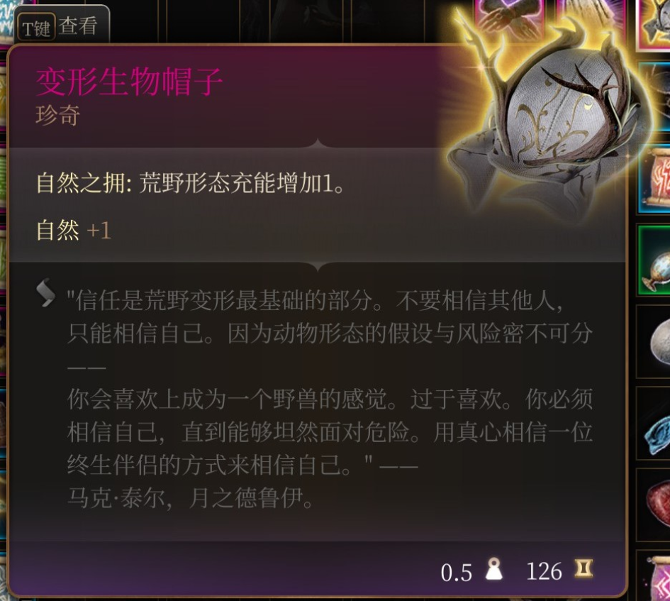 《博德之门3》魔网斗篷在哪里获得