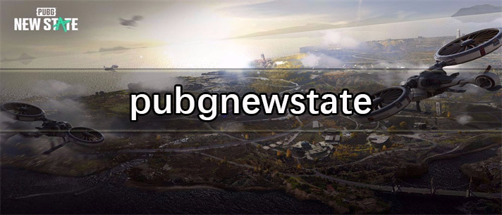 pubgnewstate