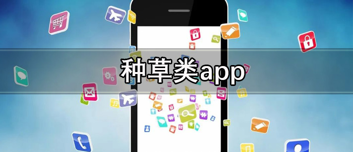 种草类app