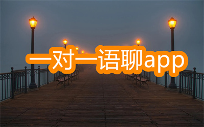 一对一视频语聊app