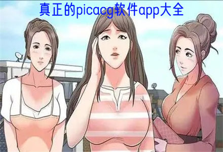 真正的picacg软件