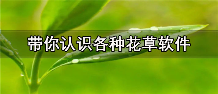 带你认识各种花草软件