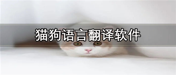 猫狗语言翻译软件